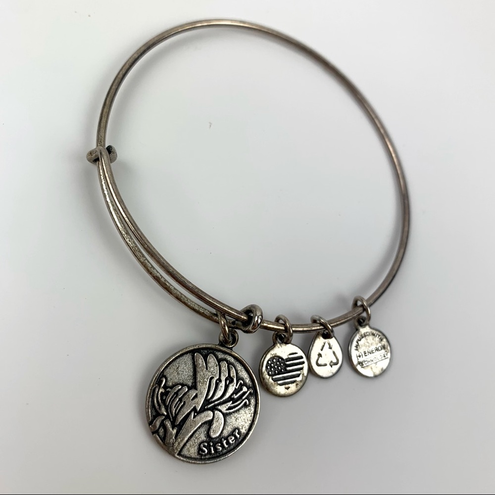 Alex and Ani Silver Bangle Sister Charm bracelet - Picture 2 of 14